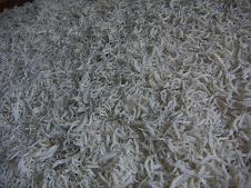 ���炷�̃y�[�W��